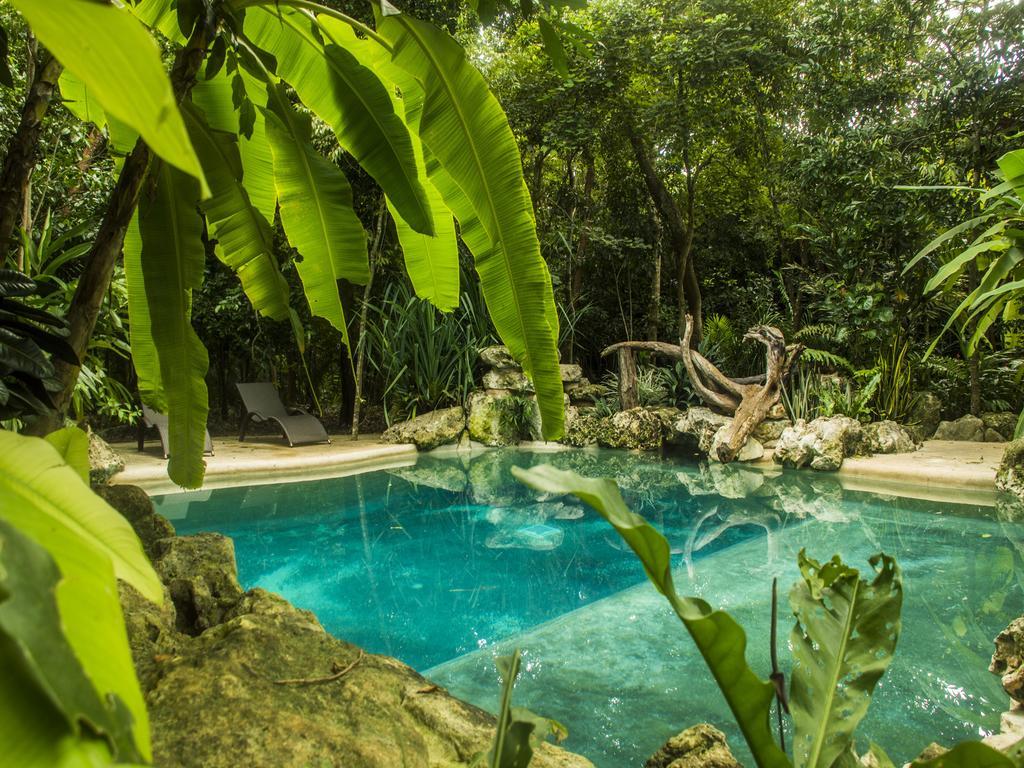 La Hacienda Cancun- El Ramonal, Monkey Sanctuary Hotel ภายนอก รูปภาพ
