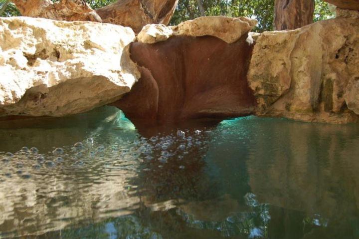 La Hacienda Cancun- El Ramonal, Monkey Sanctuary Hotel ภายนอก รูปภาพ