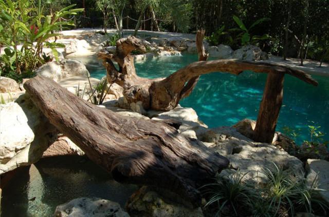 La Hacienda Cancun- El Ramonal, Monkey Sanctuary Hotel ภายนอก รูปภาพ